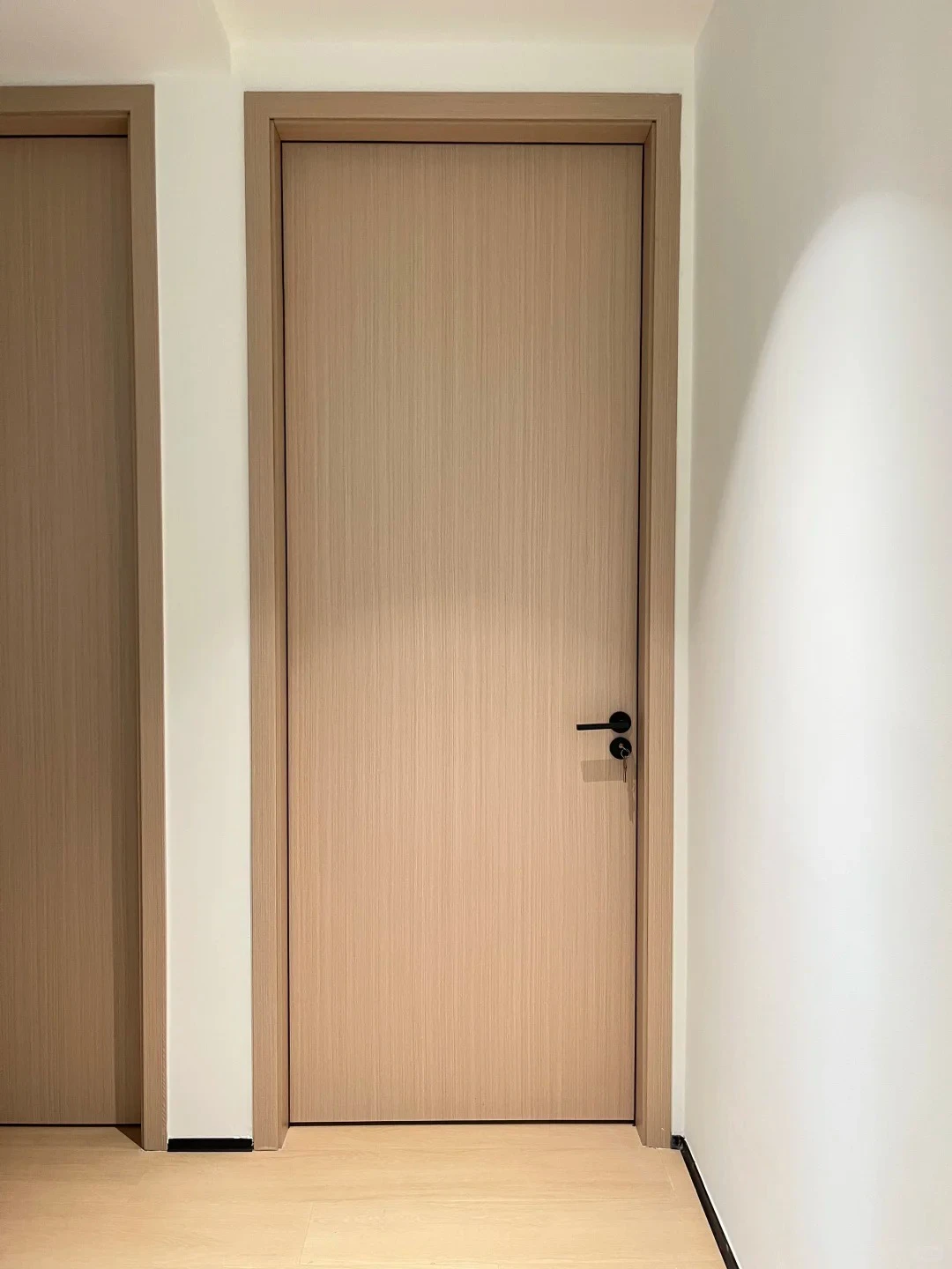 Flat panel doors Flat panel doors